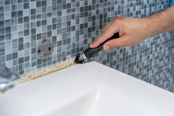 Best Mold Remediation  in Bridgeport, CT