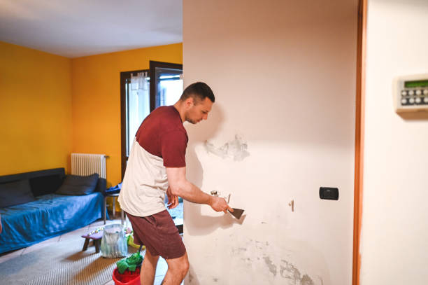 Best Mold Damage Repair  in Bridgeport, CT